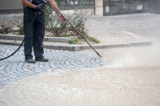 Best Animal Enclosure Cleaning  in Indian Trail, NC